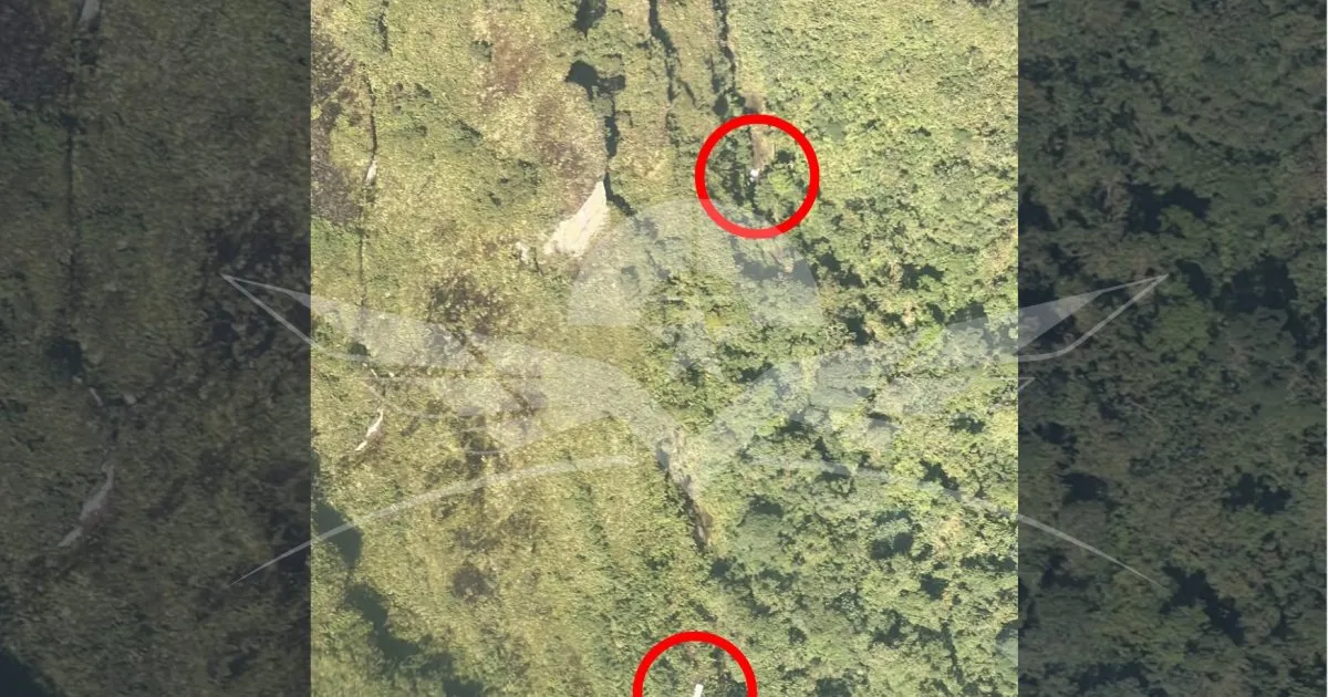 Four doctors, pilot killed in Colombia medical flight crash